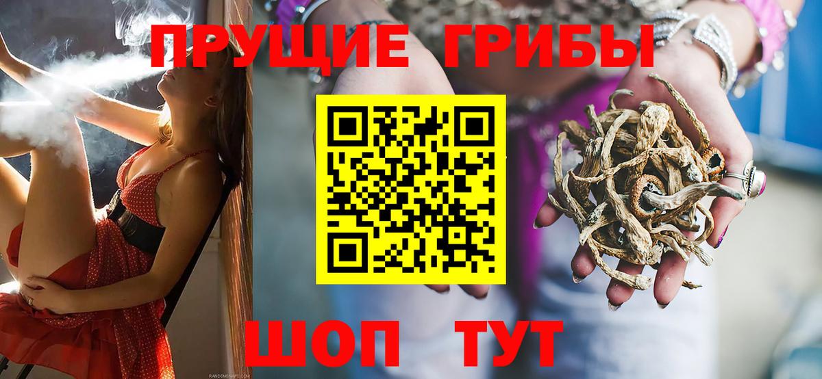 Галлюциногенные грибы прущие грибы  Псилоцибиновые грибы мухоморы  Вход с VPN  Грязи 