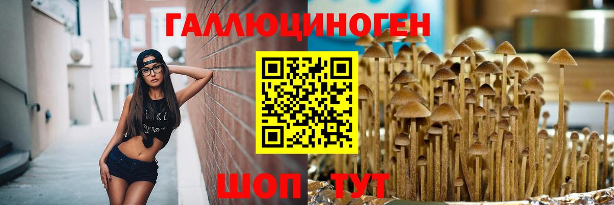 Галлюциногенные грибы MAGIC MUSHROOMS Грязи